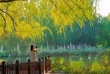 91麻豆精品免费视频-不可或缺的娱乐选择，91麻豆精品免费视频